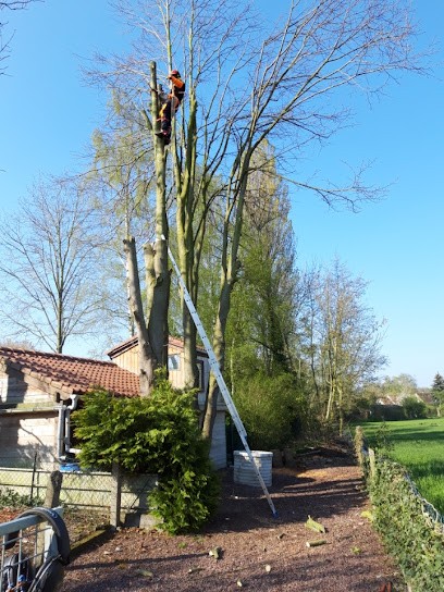 VPS ABATTAGE, Elagueur à Rumegies