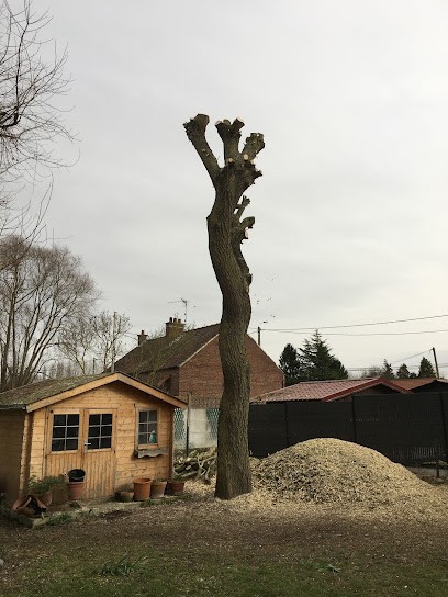 Lw élagage, Elagueur à Sin-le-Noble