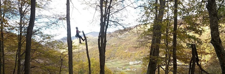 L'ECUREUIL de Lomagne, Elagueur à Vic-Fezensac