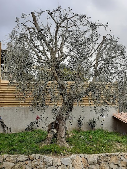 JARDINS & FORETS, Elagueur à Levens