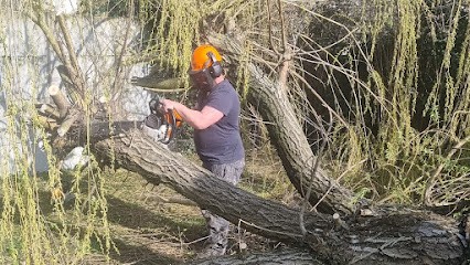 DB Élagage | ELAGUEUR Pontault-Combault Pose De Gazon Rouleau Taille De Haie 77 94, Elagueur à Pontault-Combault