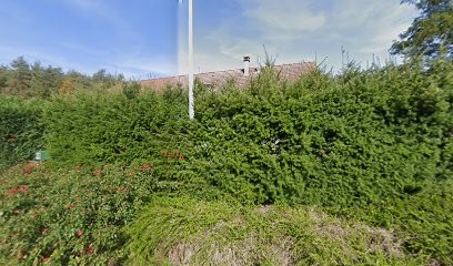 Office National des Forêts (O.N.F), Elagueur à Saint-Benoît-la-Chipotte