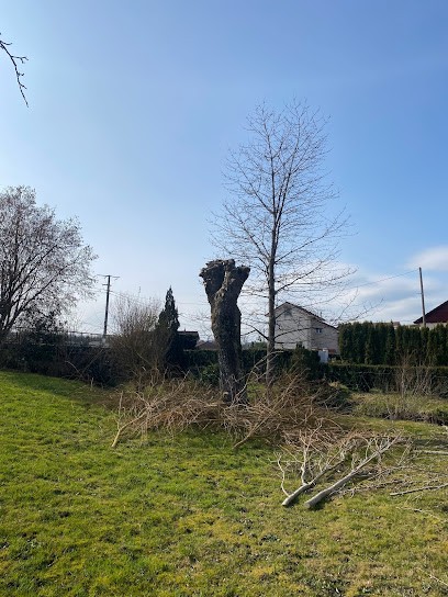 Sauzer élagage, Elagueur à Lure