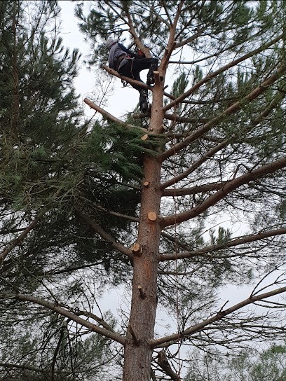 Entreprise élagage Sarlat Elagueur Grimpeur, Elagueur à Sarlat-la-Canéda