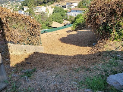 ARBO-COEUR: Élagage - Abattage D'arbres - Débroussaillage - Alpes-Maritimes 06 Et Var 83, Elagueur à Mouans-Sartoux