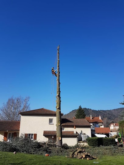 Elagage Velay, Elagueur à Saint-Pal-de-Mons