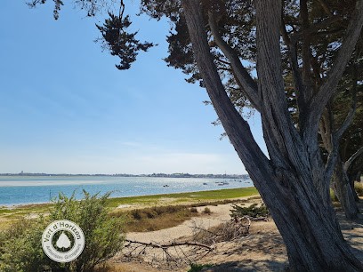 Vert D'Horizon, Elagueur à Piriac-sur-Mer