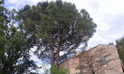 Najagage, Elagueur à Marseille 15
