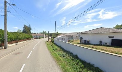 Office National Forêts (O.N.F.), Elagueur à Montagnat