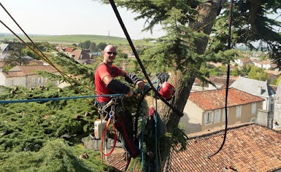 ARBOR : Elagage Rochefort/ Elagage Ile D'Oléron, Elagueur à Tonnay-Charente