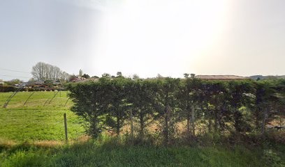 Franck élagage, Elagueur à Saint-Laurent-des-Vignes