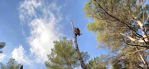 L' Artborist' Grimpeur: Élagueur Abattage d'arbres dangereux Taille d'ornement élagage Débroussaillage 13 Bouches-du-Rhône, Elagueur à Port-Saint-Louis-du-Rhône
