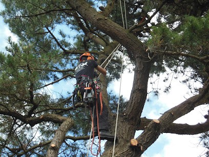 Respect'Arbres, Elagueur au Fenouiller