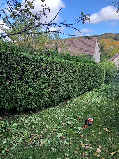 Dany Elagage, Elagueur à Rosny-sur-Seine