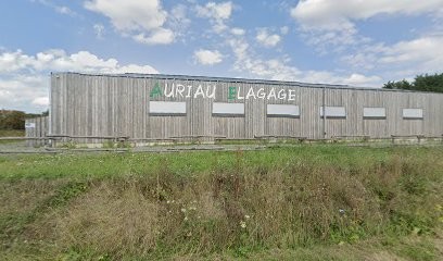 Auriau Elagage, Elagueur au Grand-Lucé