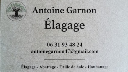 Antoine Garnon Élagage, Elagueur à Montesquieu