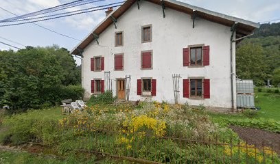 REV ELAGAGE, Elagueur à Sapois