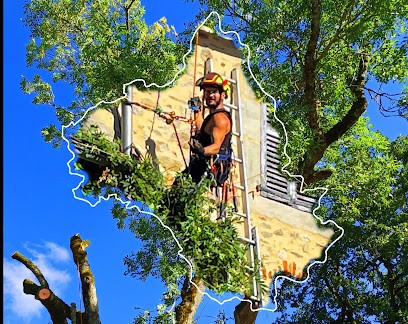 DE BRANCHE EN BRANCHE spécialiste de l'arbre, Elagueur à Najac