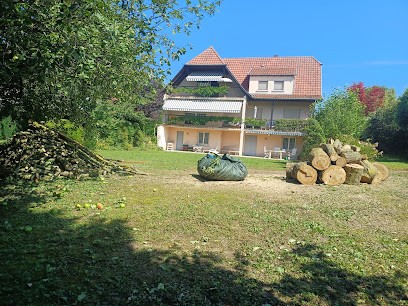 Jardinier élagueur:élagage,abattage,étêtage, Taille De Haie Dans Le 67 Bas Rhin, Elagueur à Vendenheim