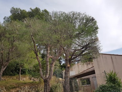 JF Elagage, Elagueur à Pontevès