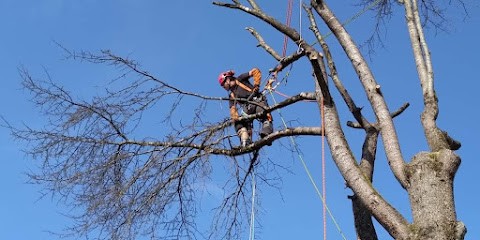 La feuille verte guillaume chavouet, Elagueur à Perigueux