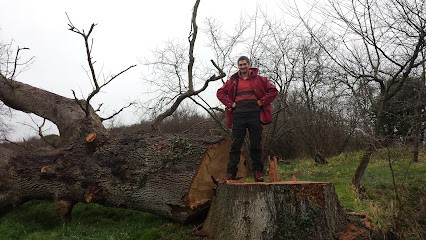 Grand Sud Elagage des plantes et des arbres, Elagueur à Verfeil