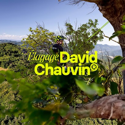 David Chauvin Elagage, Elagueur à Saint-Cannat