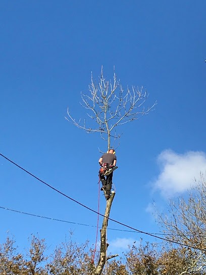 Altena Arboriste, Elagueur à Plonévez-du-Faou