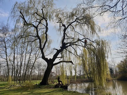 ARBOR PAYSAGE, Elagueur à Wallers