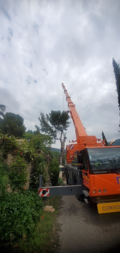 Au Nom de l'Arbre, Elagueur à Vaison-la-Romaine