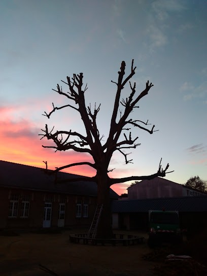 O2 L' Arbre - Entreprise d'élagage, Elagueur à Rochefort-sur-Loire