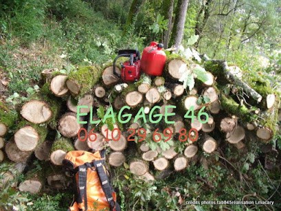 ELAGAGE 46, Elagueur à Tour-de-Faure