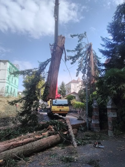 Arbonature Diagnostics Et Travaux D'élagage, Elagueur à Sorde-l'Abbaye
