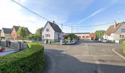 Branche à branche élagage, Elagueur à Wittisheim