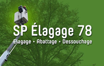Elagueur Paysagiste 78 Sp Élagage, Elagueur à Magny-les-Hameaux