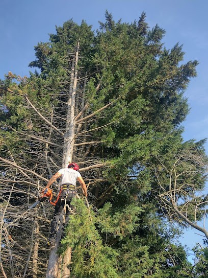 2B Nature, Elagueur à Royaucourt-et-Chailvet