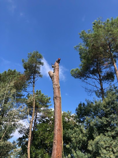 Jean Espaces-Verts, Elagueur à Messanges