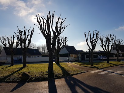 Bois Paysage, Elagueur à Monthyon