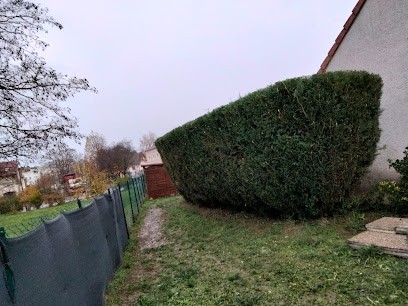 Entreprise d'élagage et abattage, Elagueur à Verjux