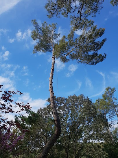 Boyer Elagage, Elagueur à Sauteyrargues
