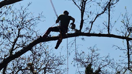ETP Ô Sens Nature Élagage/abattage/conseils, Elagueur à Pleurtuit