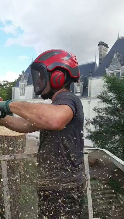 Nicolas Cottereau Élagage Sud Touraine, Elagueur à Paulmy
