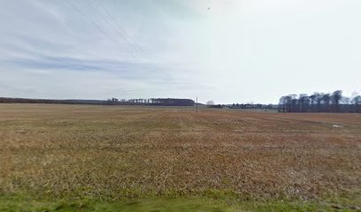 Office National des Forêts, Elagueur à Lyons-la-Forêt