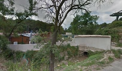 Brunet Élagage, Elagueur à Mougins