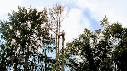 Max'Cimes Élagage, Elagueur à Thionne