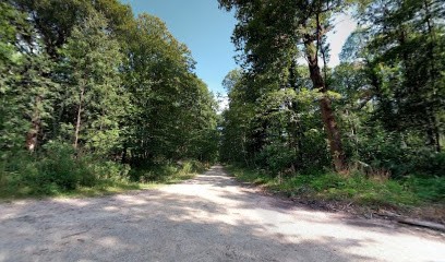Office National Des Forêts, Elagueur à Trappes