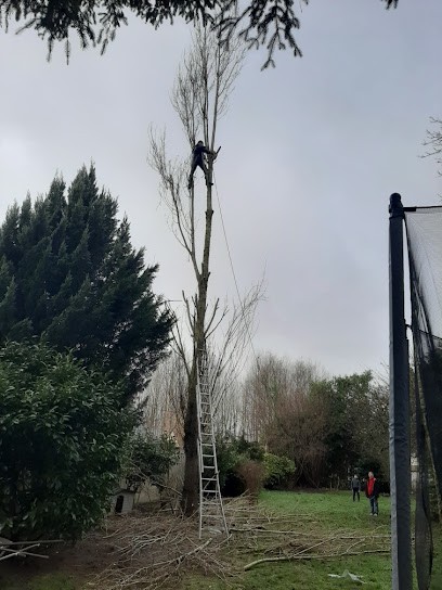 HOFFMANN ÉLAGAGE: Élagueur - Abattage D'arbres - Taille De Haie - Démoussage Toiture Eure-et-Loir 28 Oulins Anet, Elagueur à Oulins