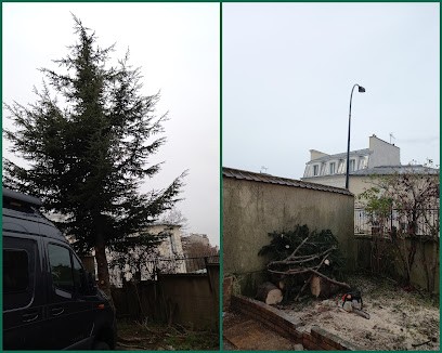JR ÉLAGAGE ESPACES VERTS 77 Élagueur Abattage D'arbre Taille De Haie Entretien Espaces Verts Jardinier - Magny-le-Hongre, Elagueur à Magny-le-Hongre