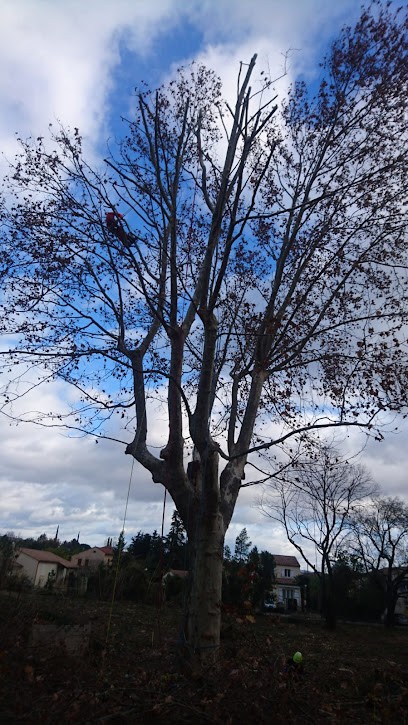 Elag Pro - Elagage Et Entretien, Elagueur à Uzès