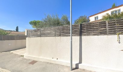 Les Arts-Boristes, Elagueur à Montferrier-sur-Lez